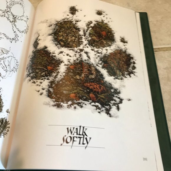 NEW Bev Doolittle New Magic Hardcover Book NIB Original Artwork Collector's Ed. - Picture 13 of 14